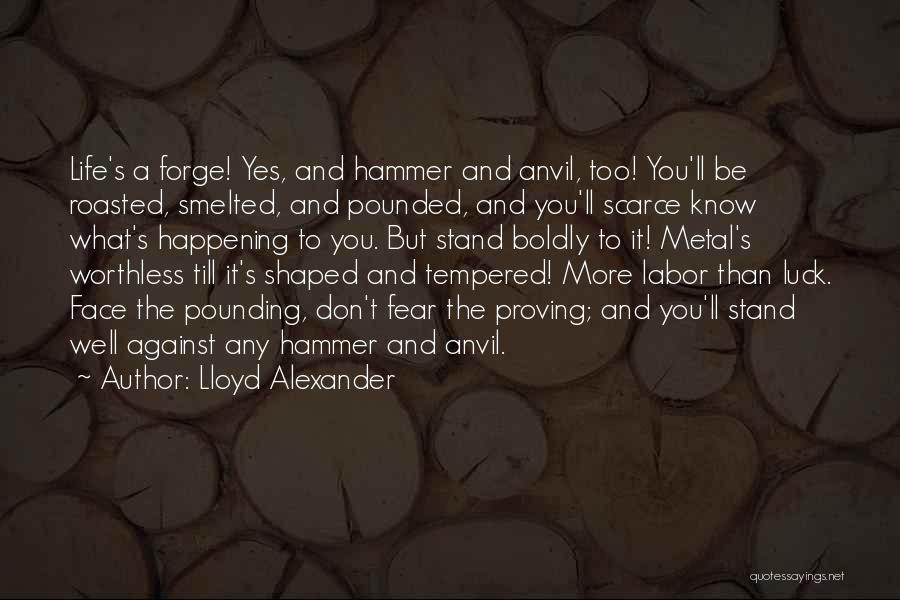 Face The Fear Quotes By Lloyd Alexander