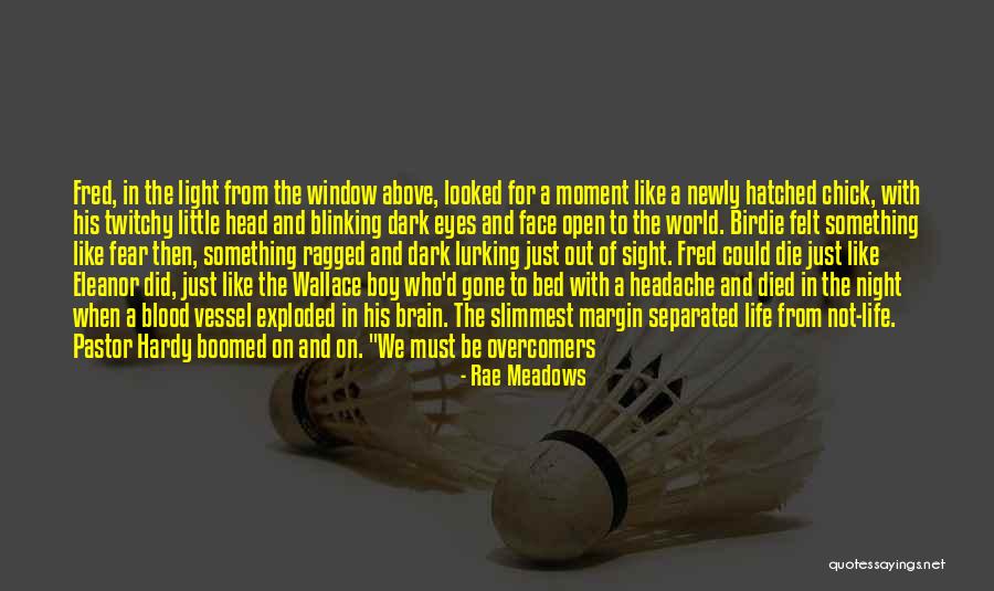 Face The Life Quotes By Rae Meadows