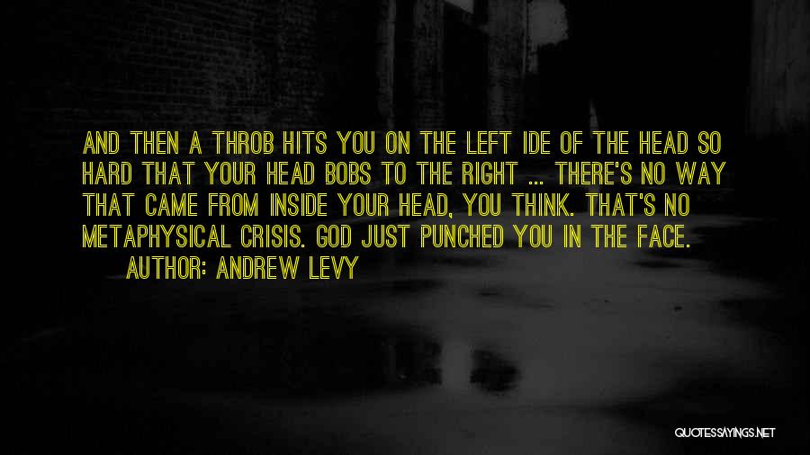 Face The Pain Quotes By Andrew Levy