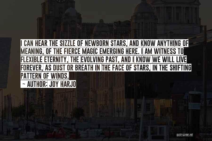 Face The Past Quotes By Joy Harjo