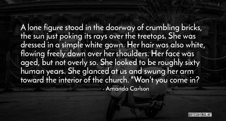 Face The Sun Quotes By Amanda Carlson