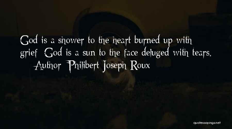 Face The Sun Quotes By Philibert Joseph Roux