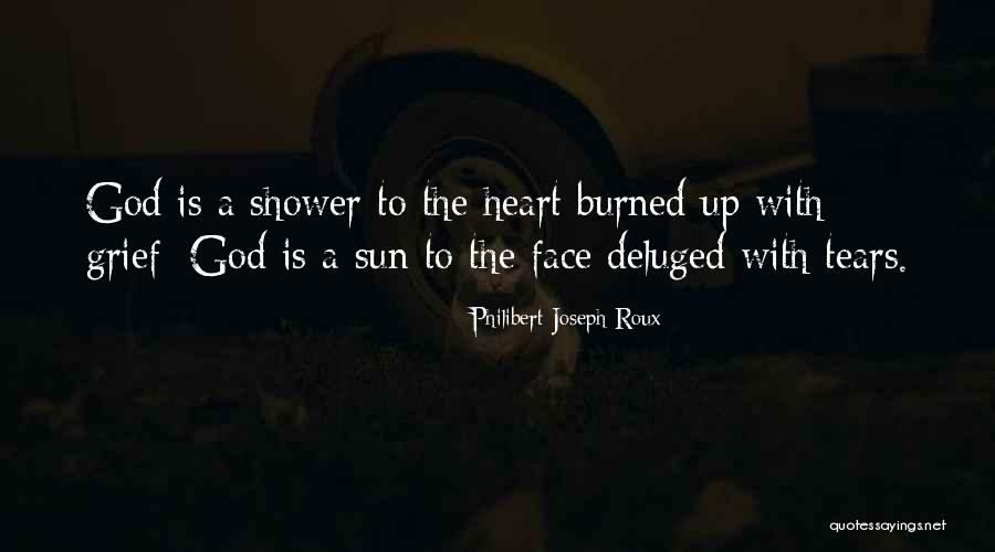 Face The Sun Quotes By Philibert Joseph Roux