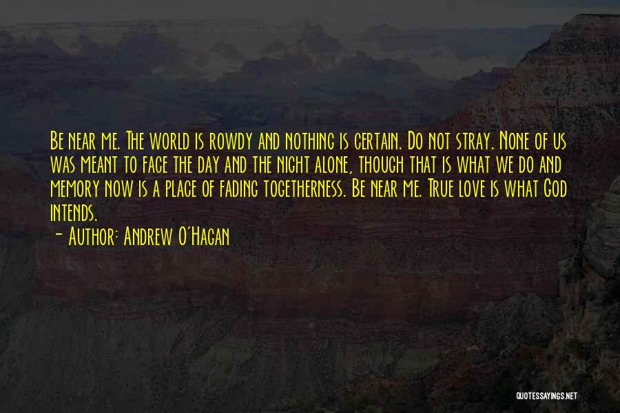 Face The World Alone Quotes By Andrew O'Hagan