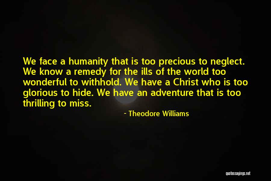 Face The World Quotes By Theodore Williams Face The World Quotes By Theodore Williams