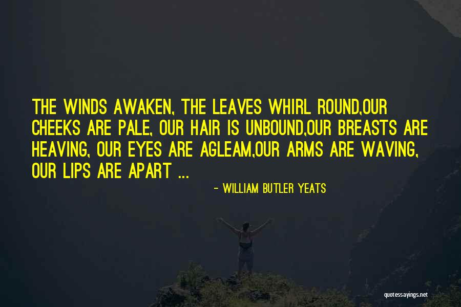 Faceamento Quotes By William Butler Yeats Faceamento Quotes By William Butler Yeats