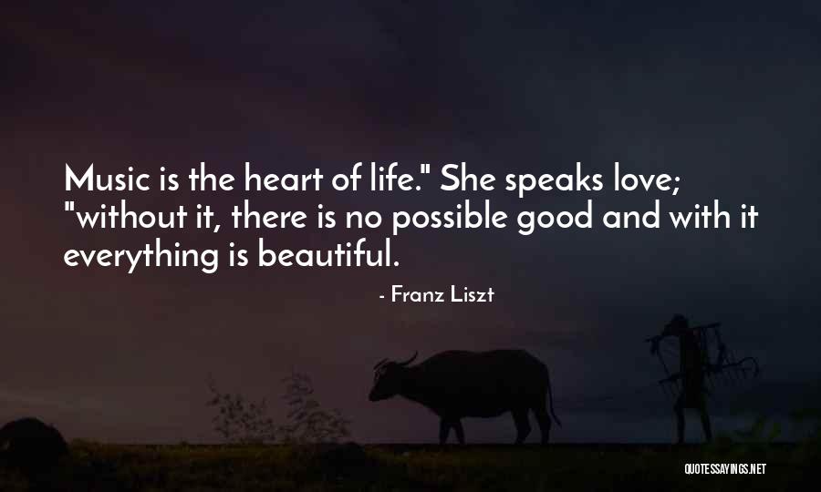 Facebook Disadvantages Quotes By Franz Liszt Facebook Disadvantages Quotes By Franz Liszt