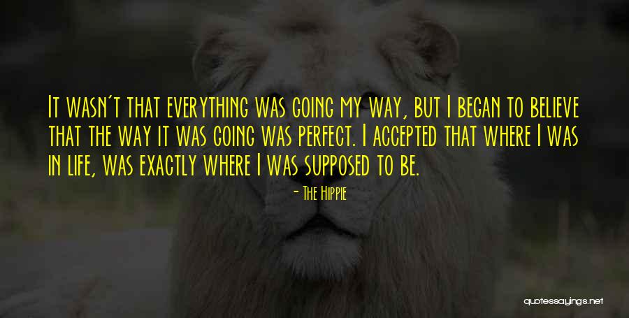 Facheux Bay Quotes By The Hippie Facheux Bay Quotes By The Hippie