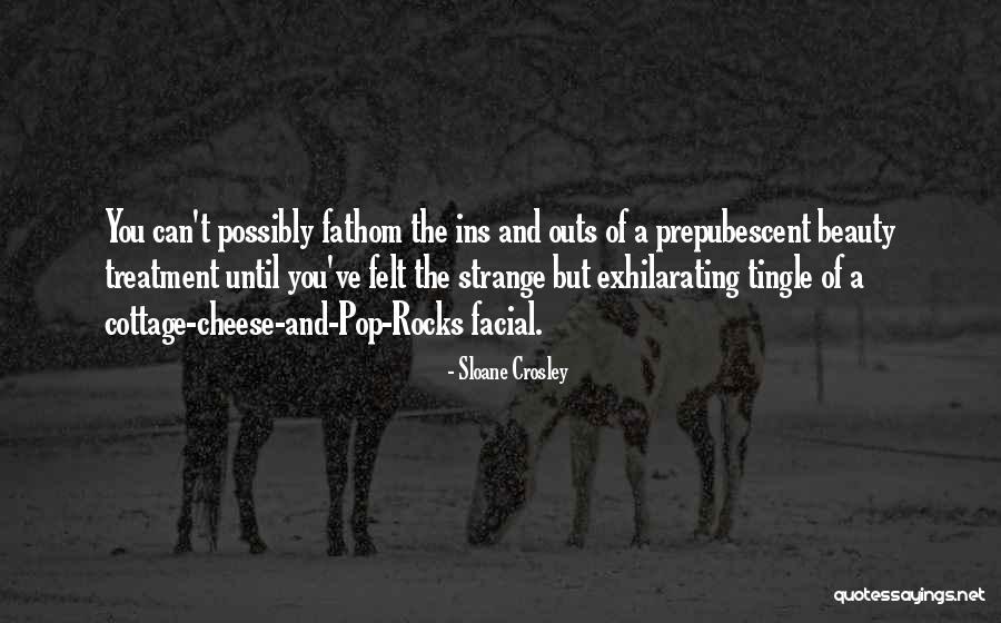 Facial Treatment Quotes By Sloane Crosley Facial Treatment Quotes By Sloane Crosley