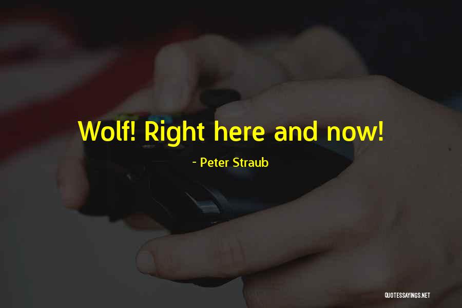 Facias De Techo Quotes By Peter Straub Facias De Techo Quotes By Peter Straub