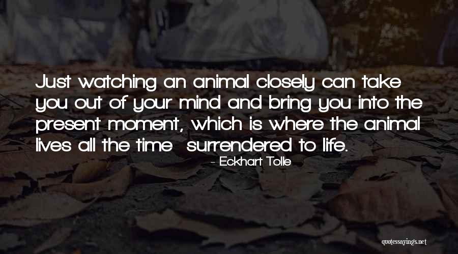 Facilisgroup Quotes By Eckhart Tolle Facilisgroup Quotes By Eckhart Tolle