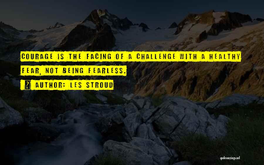 Facing Challenge Quotes By Les Stroud