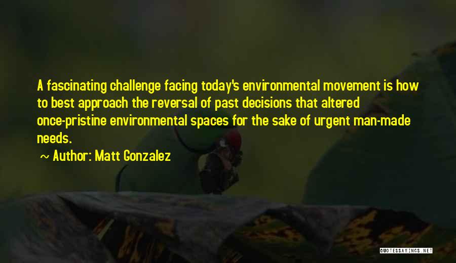 Facing Challenge Quotes By Matt Gonzalez