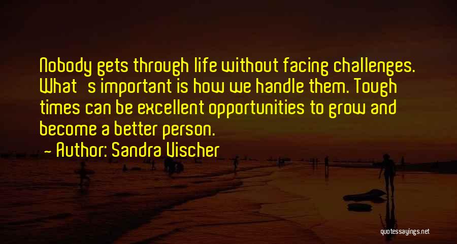 Facing Challenges In Life Quotes By Sandra Vischer