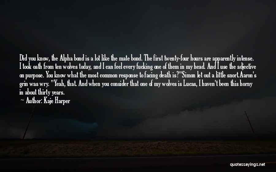 Facing Death Quotes By Kaje Harper