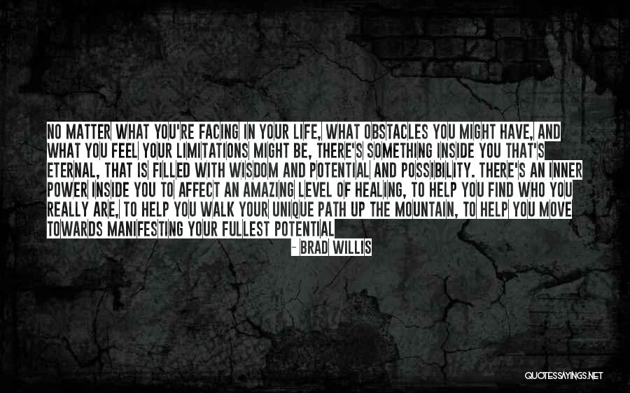 Facing Obstacles Life Quotes By Brad Willis