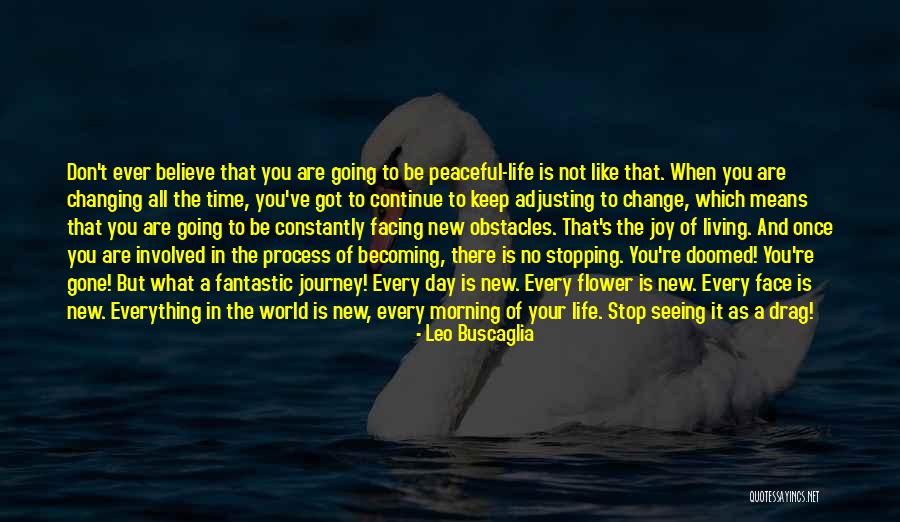Facing Obstacles Life Quotes By Leo Buscaglia Facing Obstacles Life Quotes By Leo Buscaglia