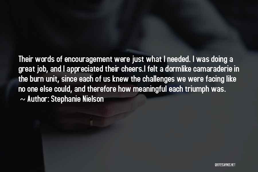 Facing Our Challenges Quotes By Stephanie Nielson