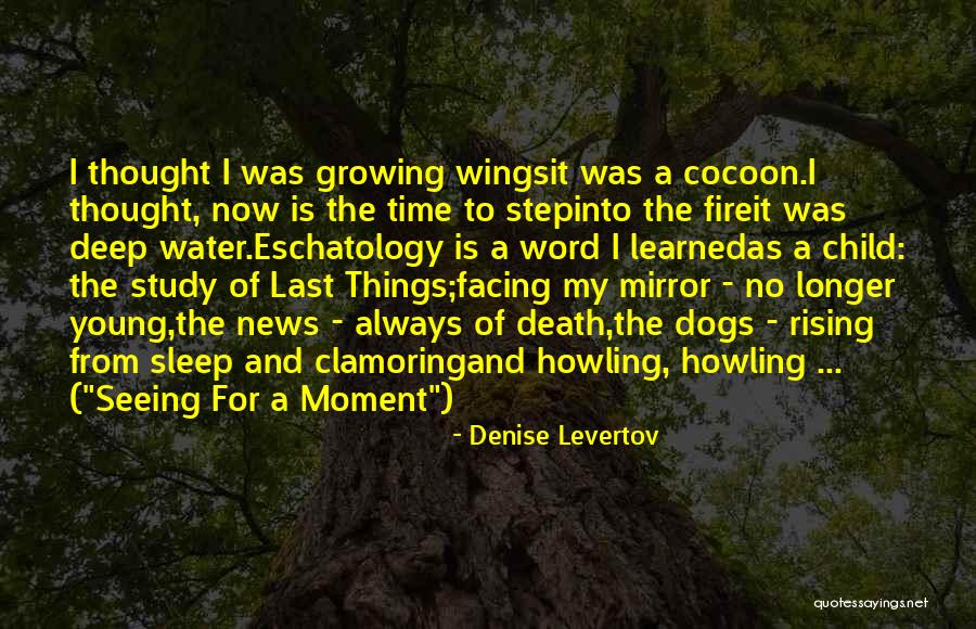 Facing Quotes By Denise Levertov