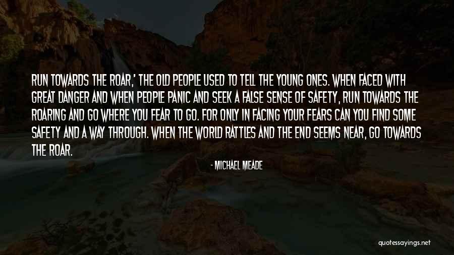 Facing Quotes By Michael Meade