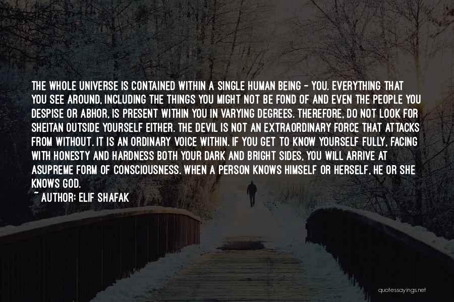 Facing Yourself Quotes By Elif Shafak