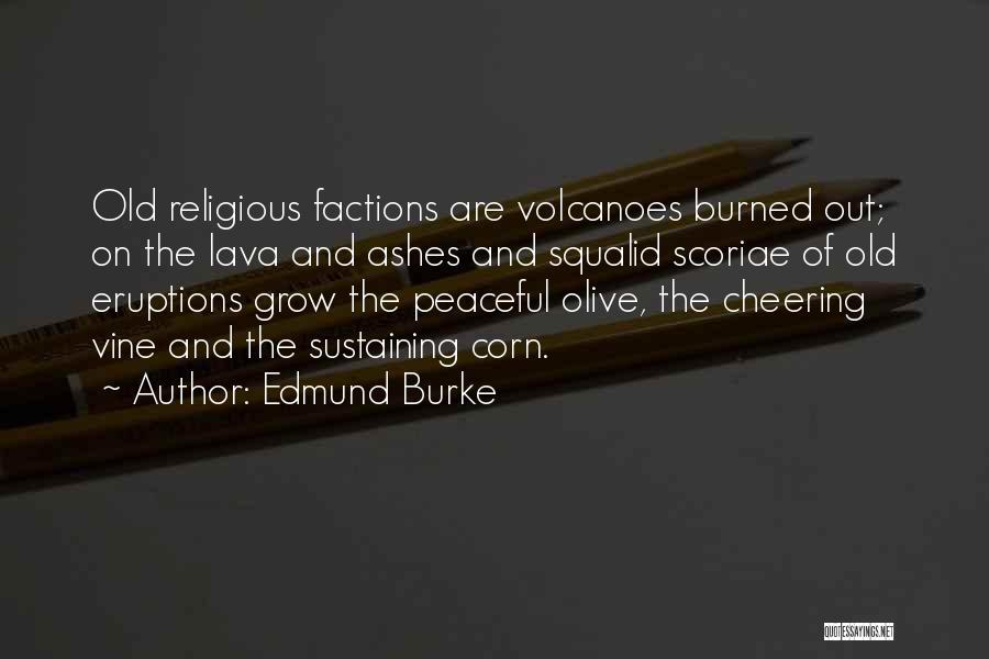 Factions Quotes By Edmund Burke