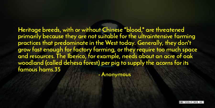 Factory Farming Quotes By Anonymous