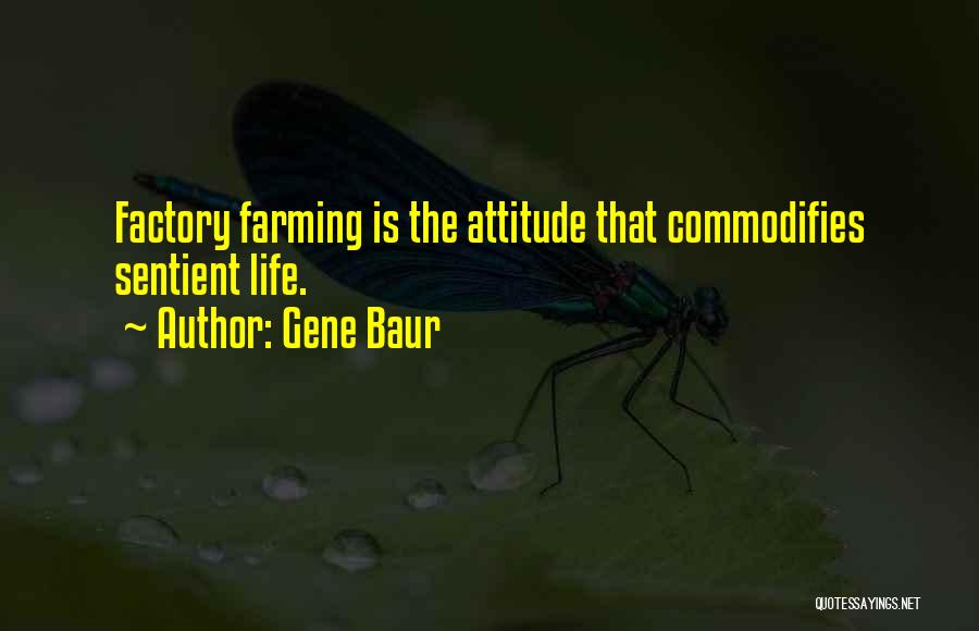 Factory Farming Quotes By Gene Baur