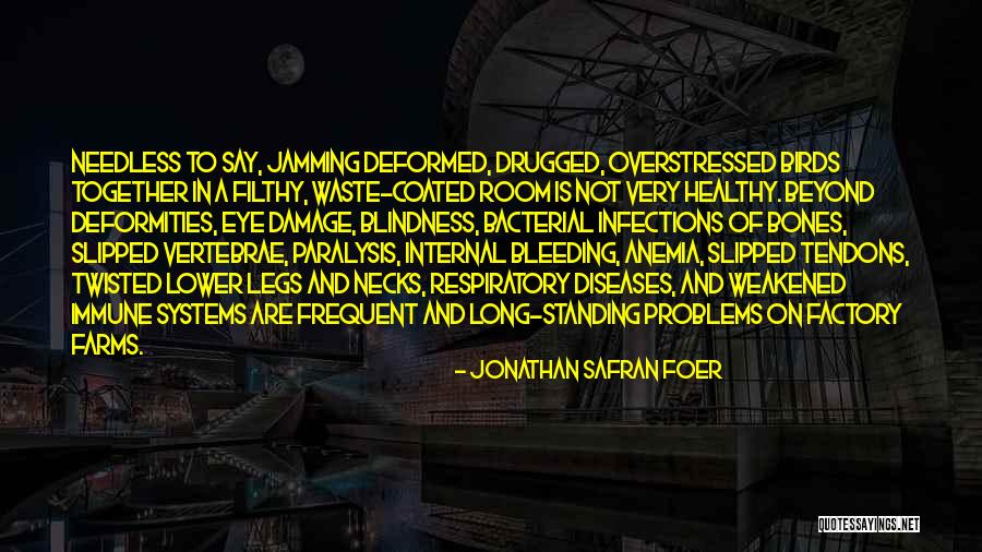 Factory Farming Quotes By Jonathan Safran Foer