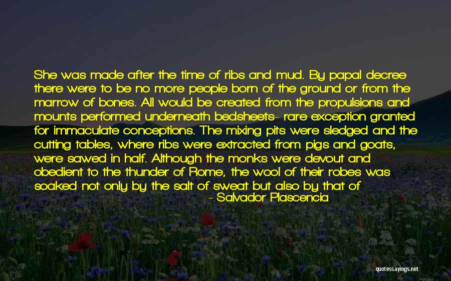 Factory Of Tears Quotes By Salvador Plascencia Factory Of Tears Quotes By Salvador Plascencia