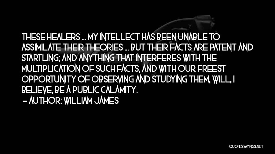 Facts And Theories Quotes By William James