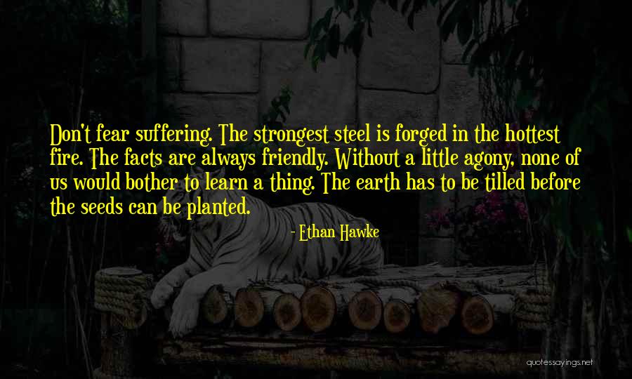 Facts To Learn Quotes By Ethan Hawke Facts To Learn Quotes By Ethan Hawke
