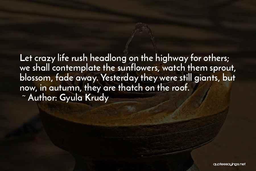 Fade In Quotes By Gyula Krudy
