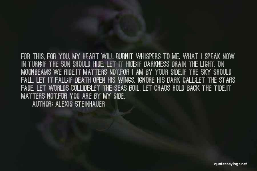 Fade Into The Darkness Quotes By Alexis Steinhauer