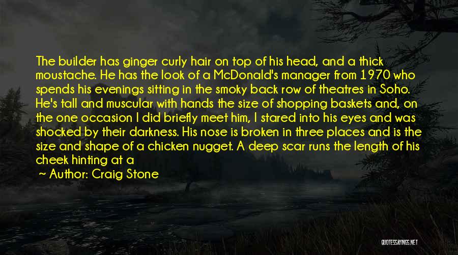 Fade Into The Darkness Quotes By Craig Stone