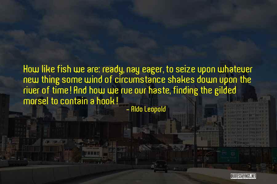 Fade Out Music Imovie Quotes By Aldo Leopold Fade Out Music Imovie Quotes By Aldo Leopold