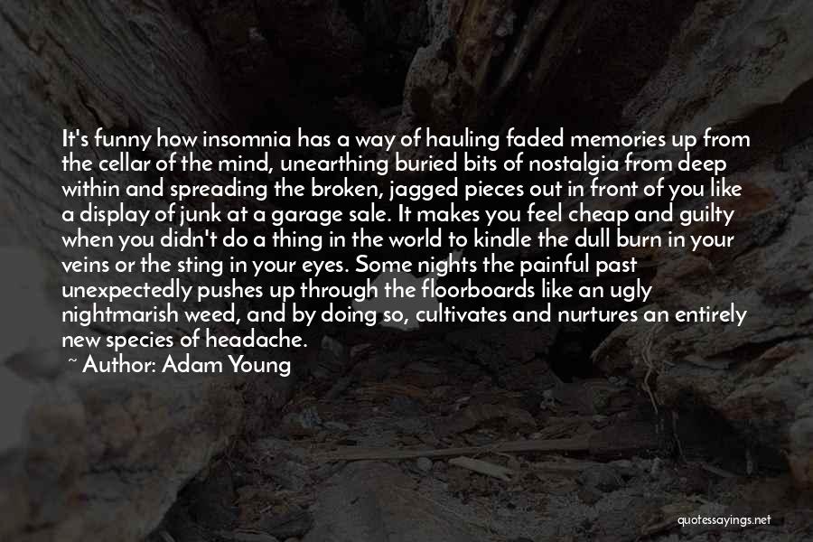 Faded Memories Quotes By Adam Young