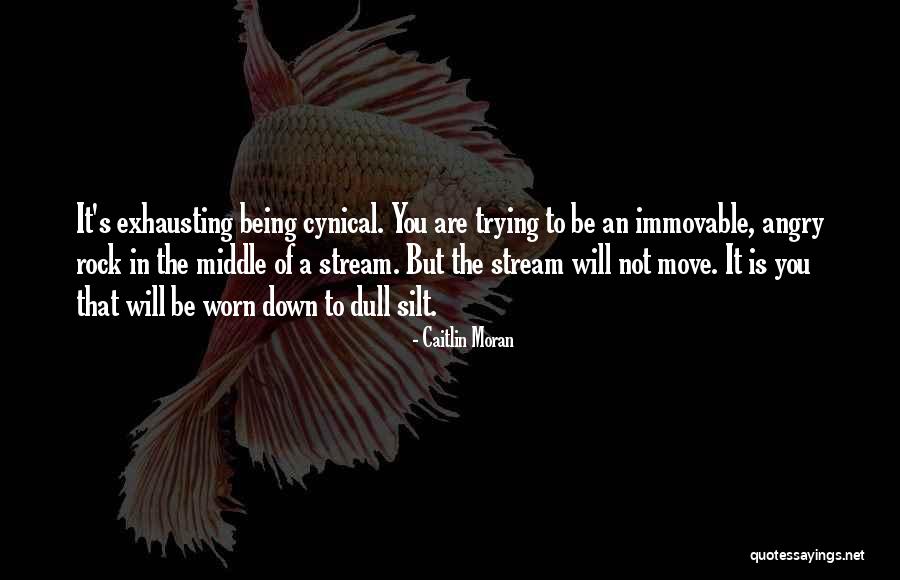 Fadime Sahin Quotes By Caitlin Moran Fadime Sahin Quotes By Caitlin Moran