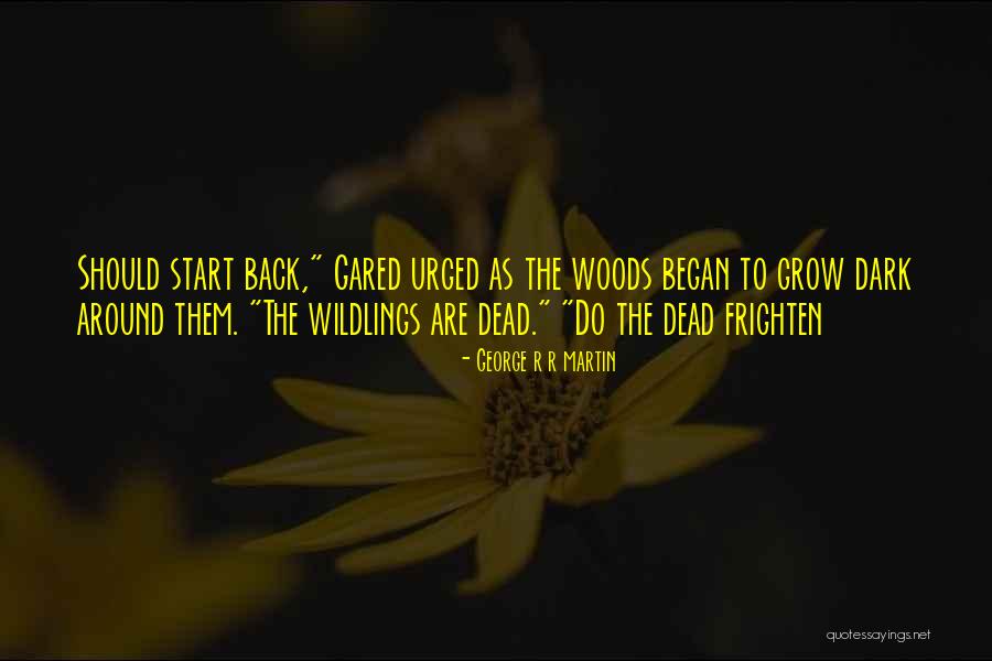 Fadime Sahin Quotes By George R R Martin Fadime Sahin Quotes By George R R Martin