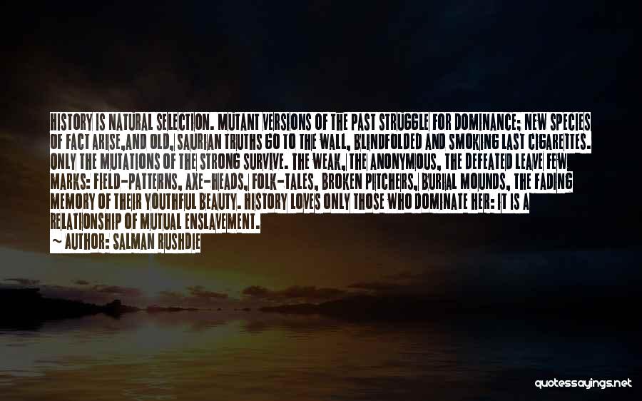 Fading Beauty Quotes By Salman Rushdie