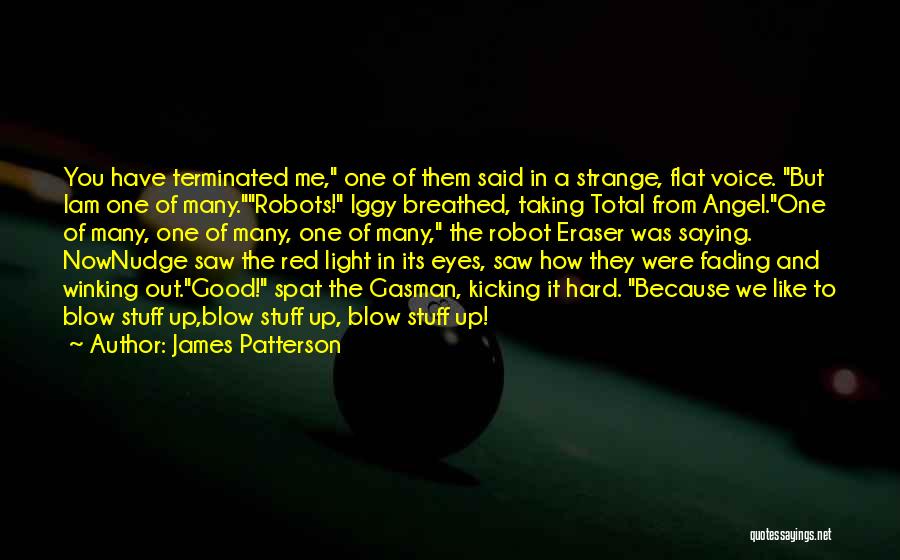 Fading Quotes By James Patterson