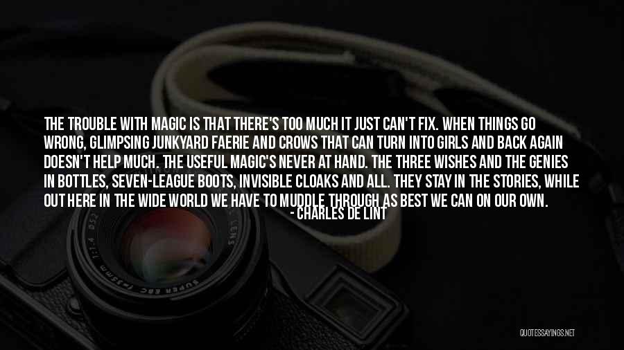 Faerie Magic Quotes By Charles De Lint Faerie Magic Quotes By Charles De Lint