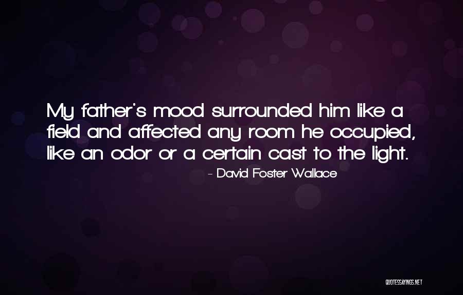 Faerie Magic Quotes By David Foster Wallace Faerie Magic Quotes By David Foster Wallace
