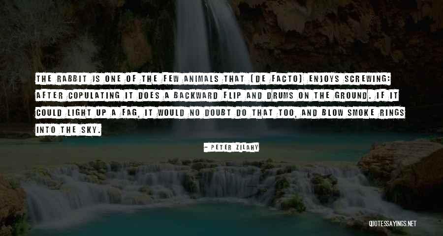 Fag Quotes By Peter Zilahy Fag Quotes By Peter Zilahy