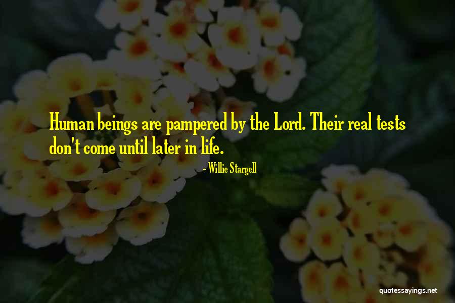 Fahime Bigdeli Quotes By Willie Stargell Fahime Bigdeli Quotes By Willie Stargell