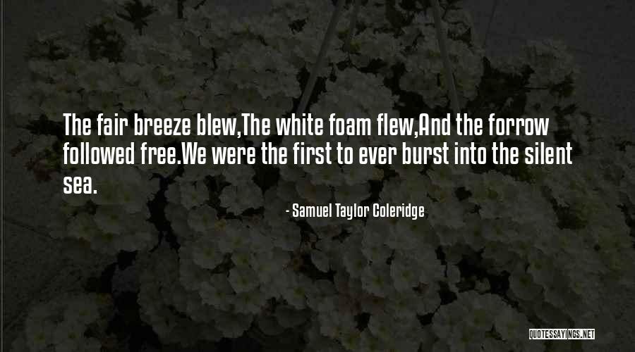 Fahrbach New York Quotes By Samuel Taylor Coleridge