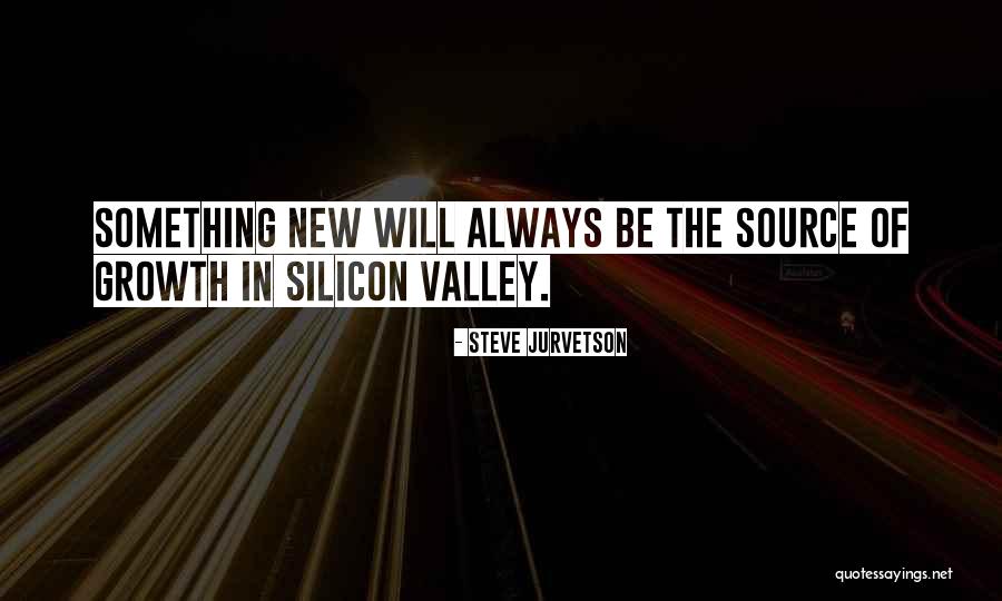 Fahrbach New York Quotes By Steve Jurvetson
