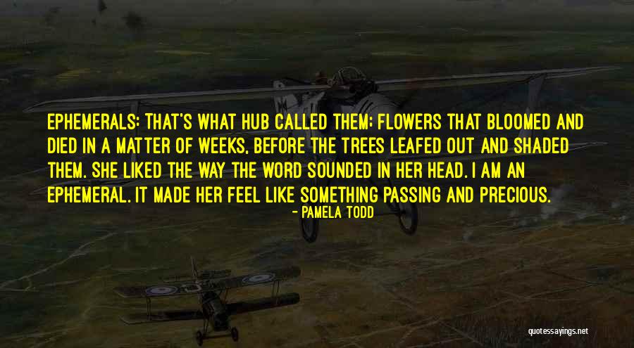 Fahrudin Jusufi Quotes By Pamela Todd Fahrudin Jusufi Quotes By Pamela Todd
