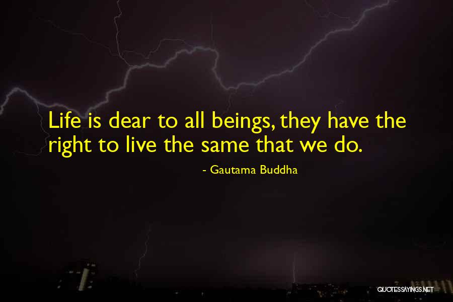 Faibles Quotes By Gautama Buddha Faibles Quotes By Gautama Buddha