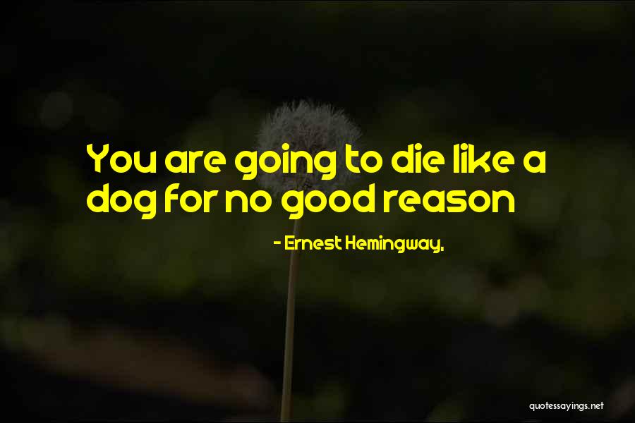 Faiello Murder Quotes By Ernest Hemingway, Faiello Murder Quotes By Ernest Hemingway,